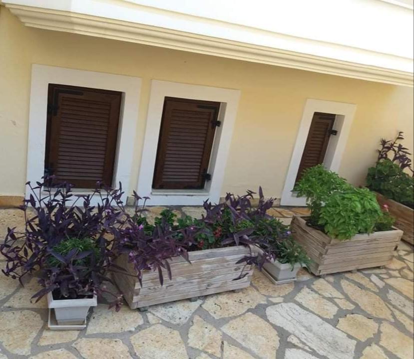 Villa Karolina Tsogkas Sívota Esterno foto